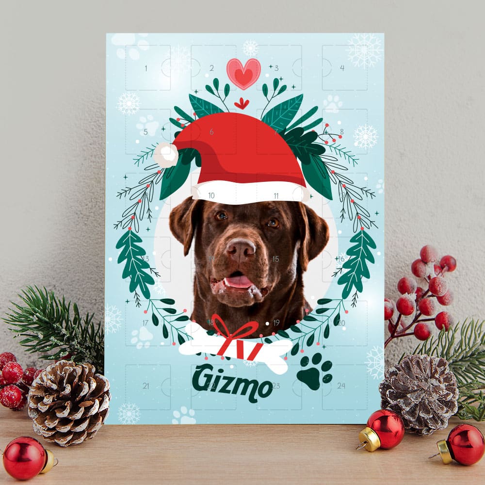 Calendario De Adviento Navidad Para Mascotas Personalizado