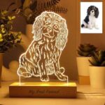 Vignette de Lampe illustrée 3D personnalisée