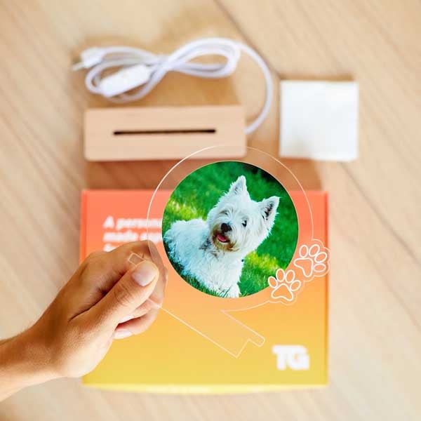 Lampada Mascotte con Foto personalizzata