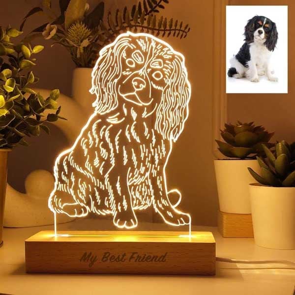 Candeeiro ilustrado 3D personalizado