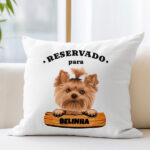 Miniatura de Almofada Placa com Nome de Animal de Estimação personalizada