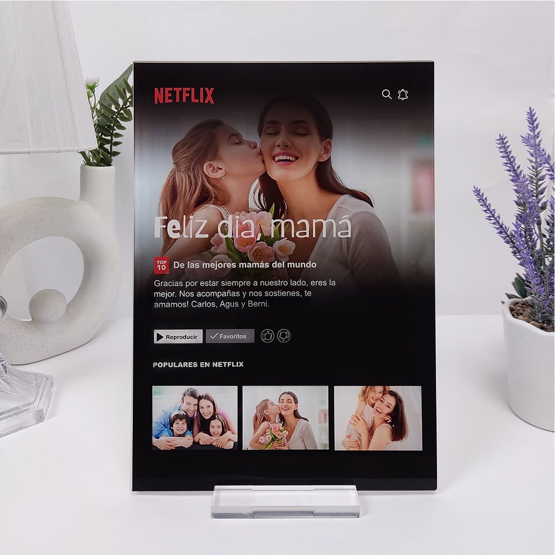 Placa Netflix personalizada