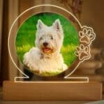 Miniatura de Lámpara Mascota con Foto personalizada