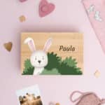 Miniatura de Caja de Recuerdos Infantil Animalitos con Nombre personalizada