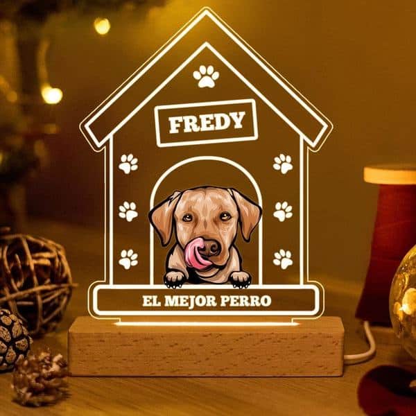 Lámpara Casita con Nombre de Mascota personalizada