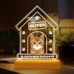 Miniatura de Lámpara Casita con Nombre de Mascota personalizada