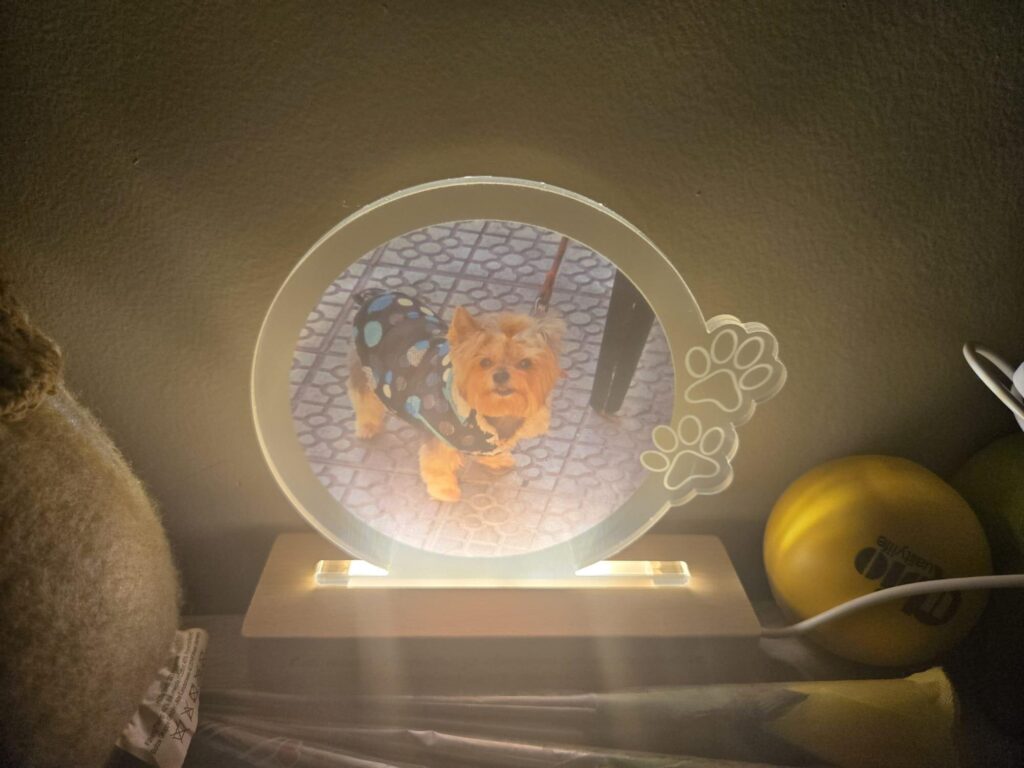 Imagen #1 de Mari carmen Zorrilla ronda